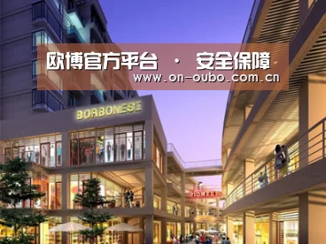 案例展示一(图1)