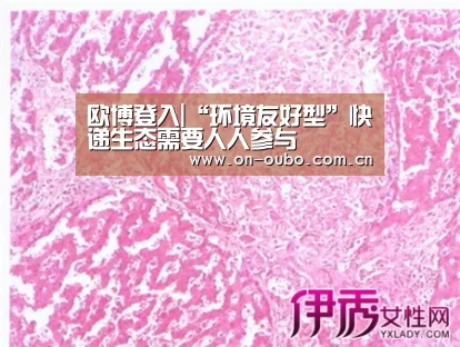 欧博登入|“环境友好型”快递生态需要人人参与(图1) 欧博官网